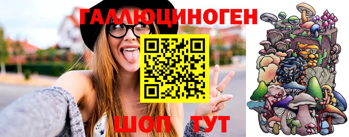 Старая Купавна  Галлюциногенные грибы Psilocybine cubensis  Вход с VPN  Псилоцибиновые грибы мицелий 